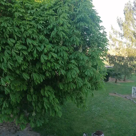 Rum i privatbostad Le Marronnier *