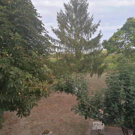 Rum i privatbostad Le Marronnier Saint-Vincent-de-Pertignas