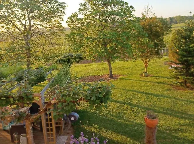 Le Marronnier Saint-Vincent-de-Pertignas