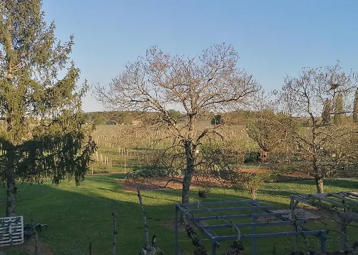 Homestay Le Marronnier