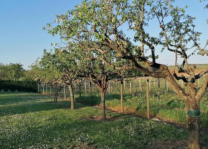 Homestay Le Marronnier *