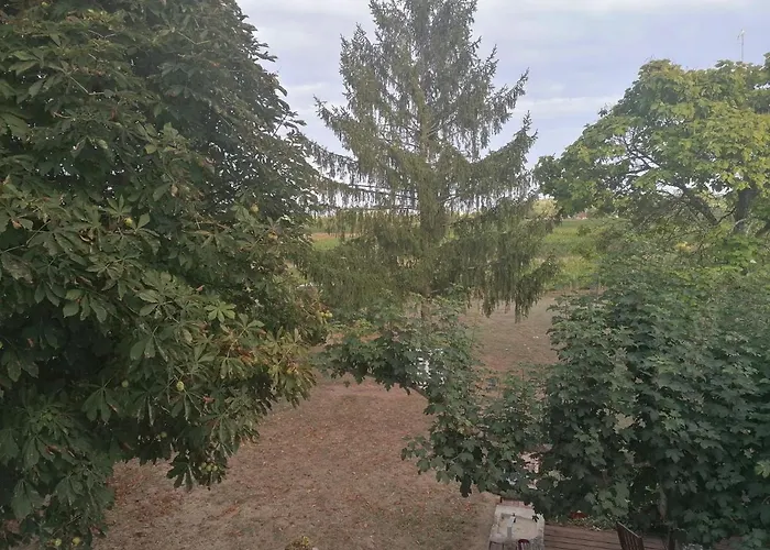 Homestay Le Marronnier Saint-Vincent-de-Pertignas